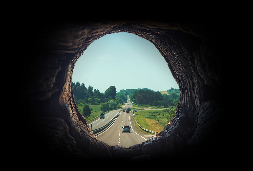 just-rabbit-hole